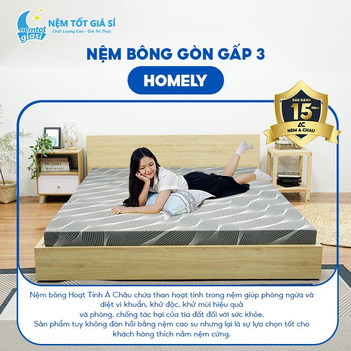 Nệm Tốt Giá Sỉ - Nệm Bông Ép Homely 1