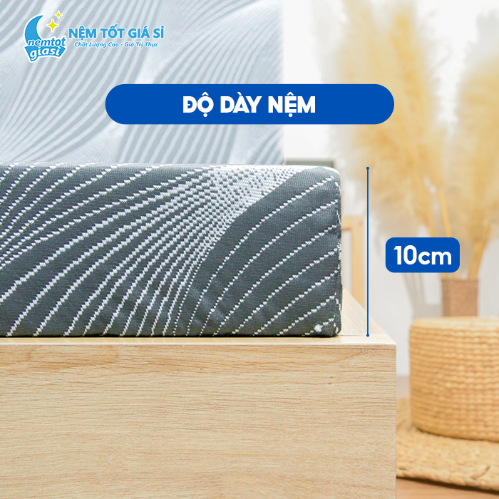 Nệm Tốt Giá Sỉ - Nệm Bông Ép Homely 2