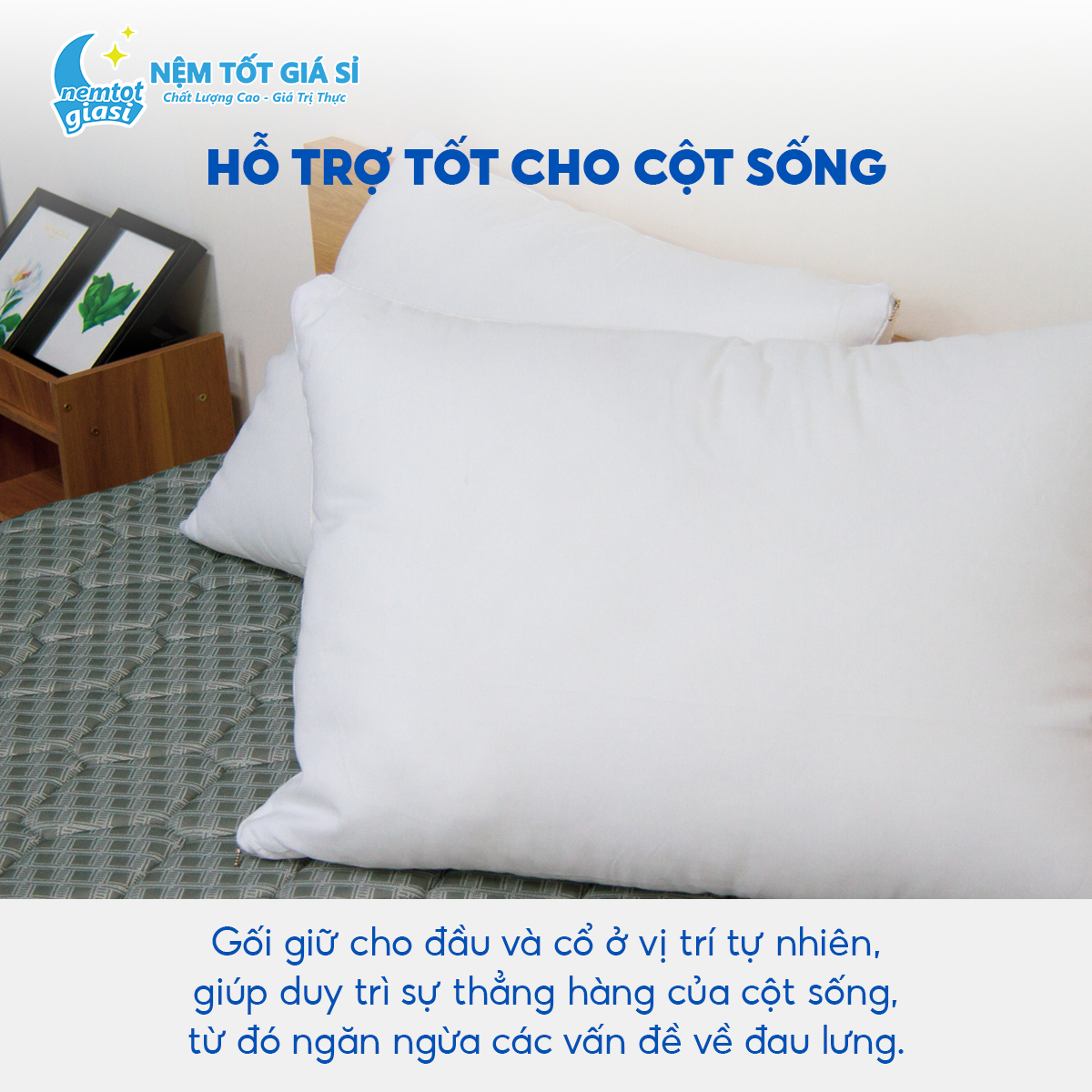 Nệm Tốt Giá Sỉ - Gối Gòn Ép Hơi 1