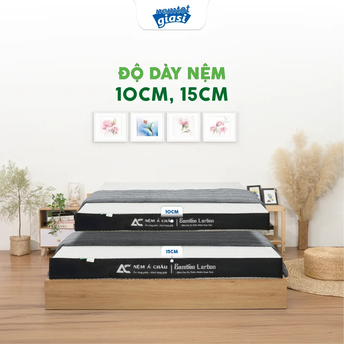 Nệm Tốt Giá Sỉ - Nệm Cao Su Thiên Nhiên Bamboo Carbon 11